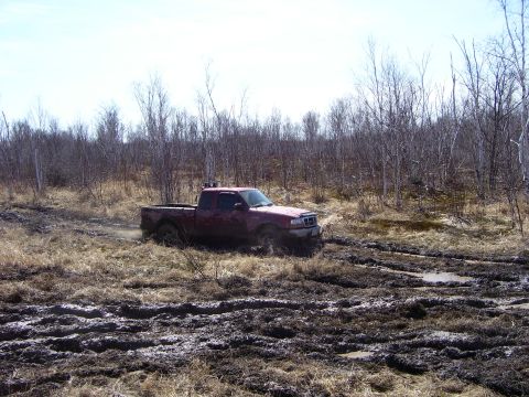 1996 Ford Bronco - A red pickup truck navigates a muddy, wooded terrain, its grille indicating an early 2000s model year.