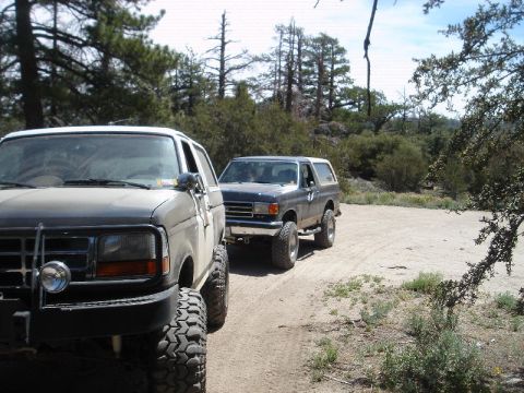 1994 Ford Bronco - Two lifted full-size Ford Broncos on a dirt forest trail: a dark green/gray one in the foreground shot from the front-left with a tube gril…