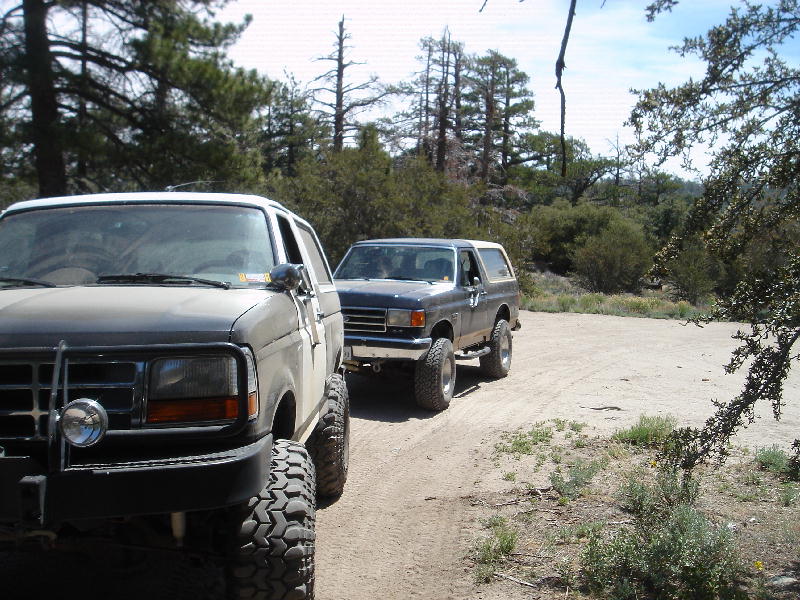 Two lifted full-size Ford Broncos parked on a dirt trail among pine trees