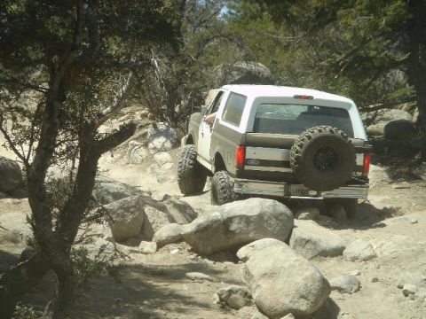1994 Ford Bronco - This Ford Bronco navigates a rocky trail, its spare tire mounted on the rear door.