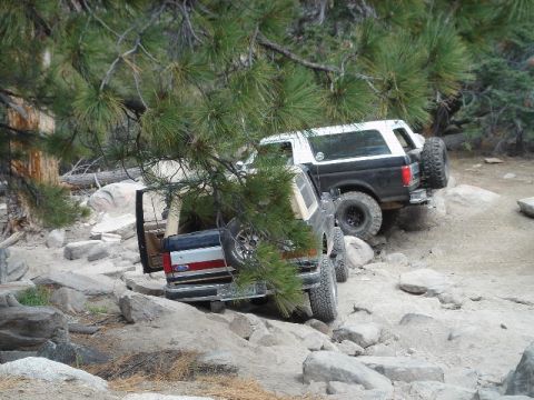 1994 Ford Bronco - Two full-size Ford Broncos negotiating a rocky pine-shaded trail, seen from above through the branches: a dark green rig with a white hardt…