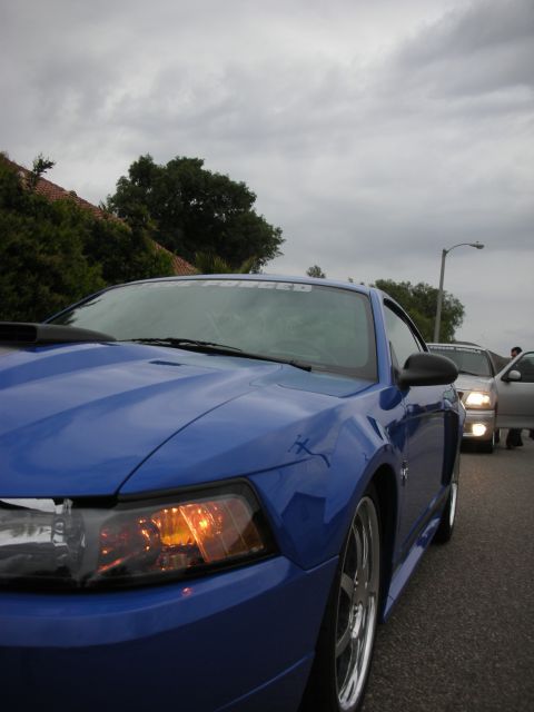 1992 Ford Crown Victoria - Front quarter view of a blue Ford Mustang, showing its distinctive headlights and hood scoop.