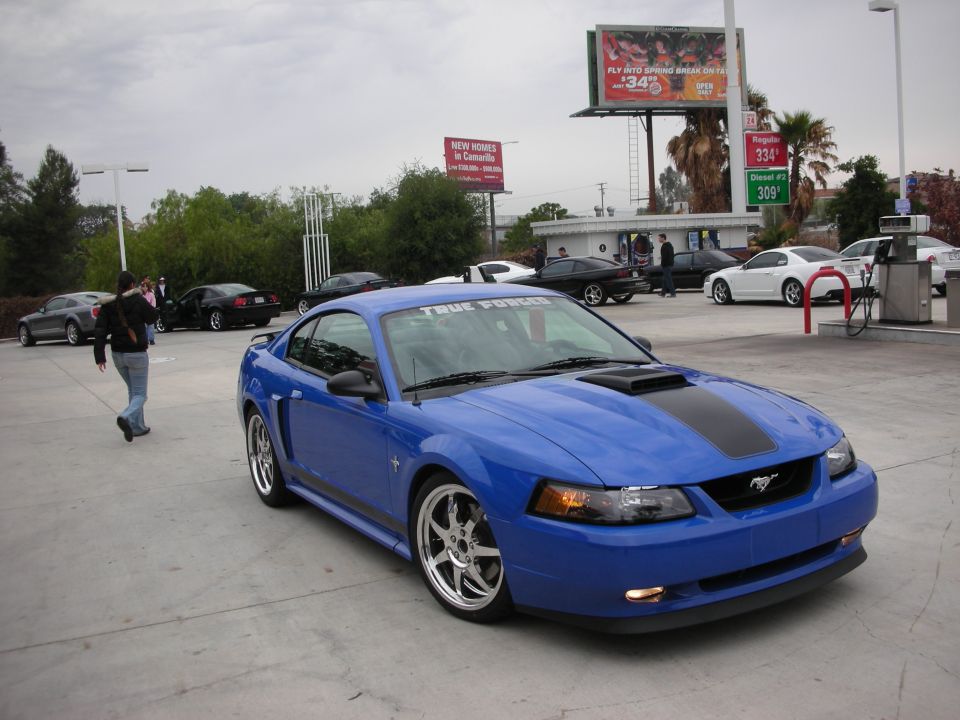 Blue Ford Mustang with black stripe and "TRUE FORCES" windshield banner