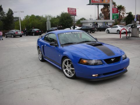 1992 Ford Crown Victoria - Blue Ford Mustang parked at a gas station with other vehicles around.