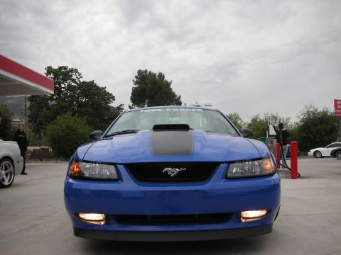 1992 Ford Crown Victoria - A blue Ford Mustang is parked at a gas station with other vehicles visible in the background.