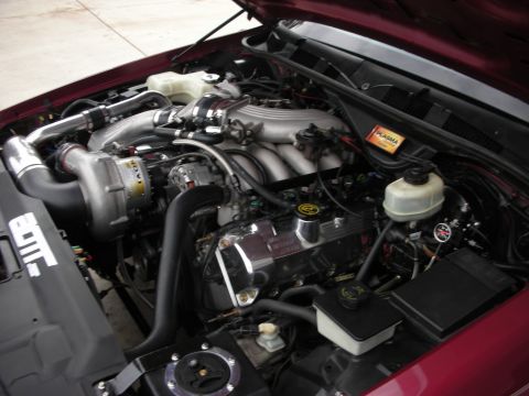 1992 Ford Crown Victoria - Customized engine bay a supercharger and chrome accents.