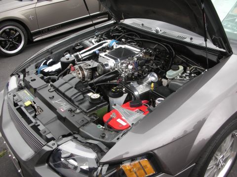 1992 Ford Crown Victoria - The engine bay of a modified Ford Mustang, a supercharger and custom components.
