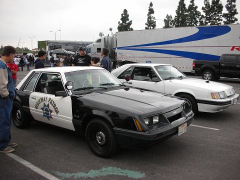 1992 Ford Crown Victoria - Two Ford Mustangs, one a police car, are parked at an outdoor event.
