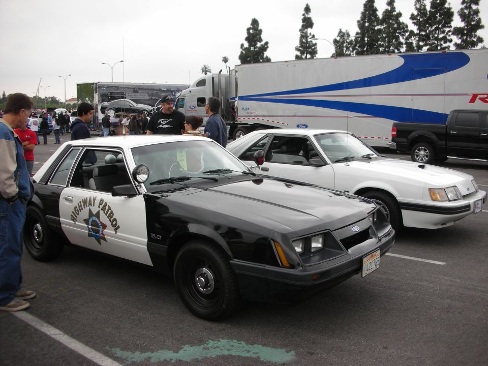 Black and white Ford Mustang police car parked next to a white Ford Mustang