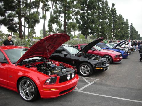 1992 Ford Crown Victoria - Several Ford Mustangs are parked in a line with their hoods open, displaying their engines at an outdoor car show.
