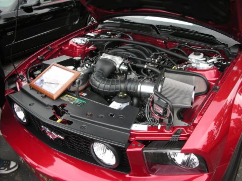 1992 Ford Crown Victoria - Engine bay of a red Ford Mustang, a custom air intake and a framed photo placed on the engine cover.