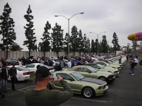 1992 Ford Crown Victoria - A gathering of Ford Mustangs at a car show, with attendees observing the vehicles.