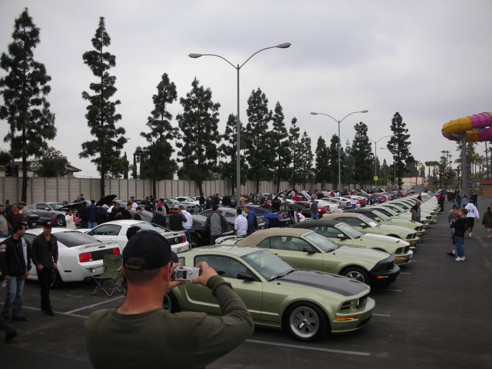 Lots of Ford Mustangs parked in a lot, people milling around, one guy taking a photo