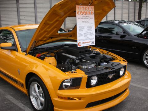 1992 Ford Crown Victoria - Yellow 2007 Ford Mustang GT coupe on display with hood open, another Mustang visible behind it.