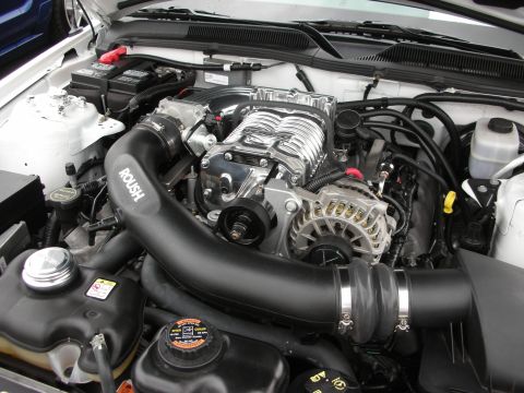 1992 Ford Crown Victoria - Close-up of a supercharged engine bay a polished supercharger and Roush intake.