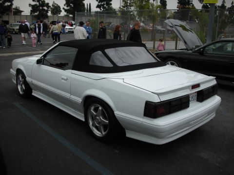 1992 Ford Crown Victoria - A white 1992 Ford Mustang convertible is parked at a car show with other vehicles present.
