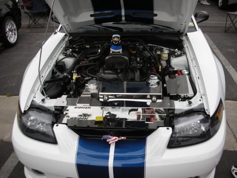 1992 Ford Crown Victoria - The engine bay of a white Ford Mustang is displayed with chrome detailing and blue racing stripes.