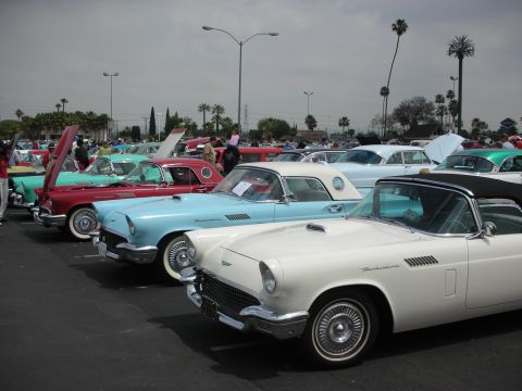 1992 Ford Crown Victoria - A row of classic Ford Thunderbirds are on display at a car show.