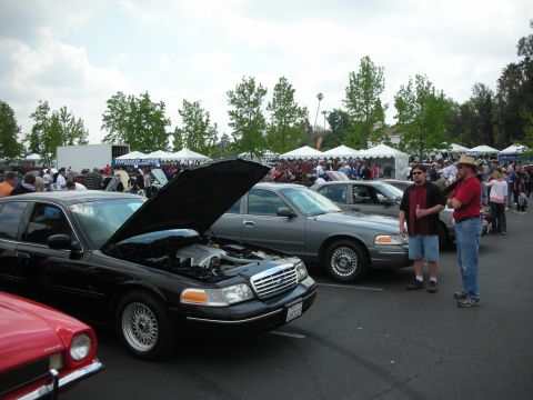 1992 Ford Crown Victoria - A car show features several Ford Crown Victorias, including a black model with its hood raised, displaying its engine.