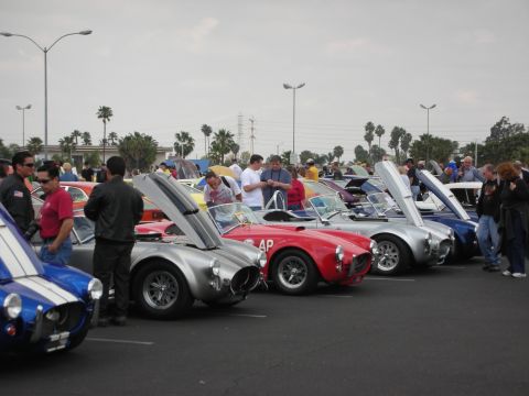 1992 Ford Crown Victoria - A gathering of classic sports cars, including several Shelby Cobras, are displayed with their hoods open at an outdoor car show.