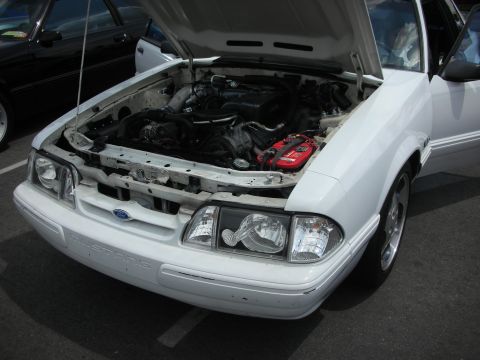 1992 Ford Crown Victoria - A white Ford Mustang is parked with its hood open, revealing the engine bay and a red battery.