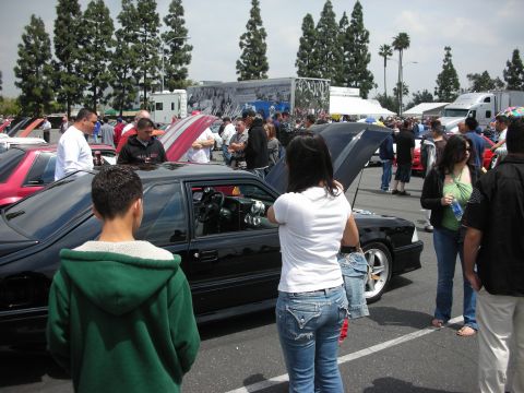 1992 Ford Crown Victoria - A crowd gathers around a black Ford Mustang at an outdoor car show.