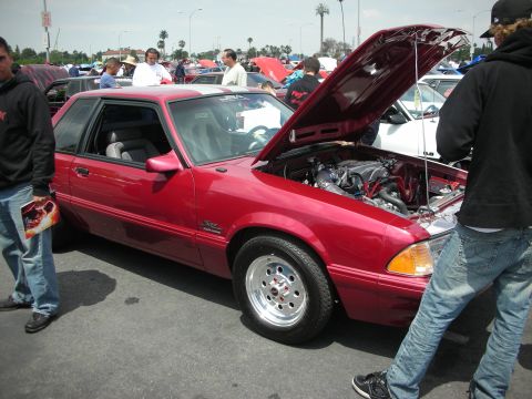 1992 Ford Crown Victoria - Red coupe with hood open at a car show, displaying its engine and aftermarket wheels.