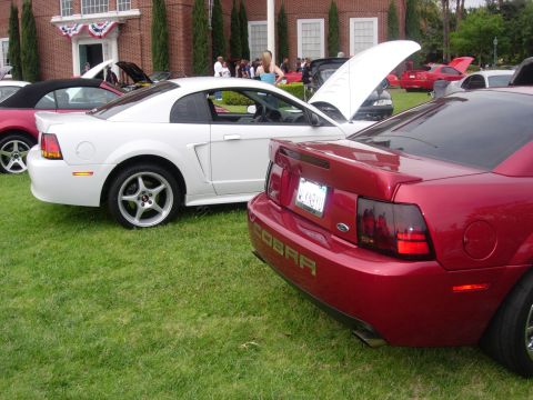 1992 Ford Crown Victoria - Rear view of a red Ford Mustang Cobra, showing the distinctive taillights and "COBRA" badging.