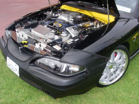 1992 Ford Crown Victoria - This 1996 Ford Mustang Cobra features a modified engine bay with custom chrome components and aftermarket wheels.