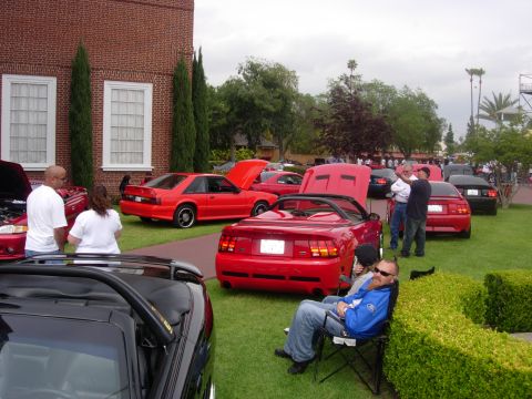 1992 Ford Crown Victoria - Several red Mustangs are on display at a car show, with attendees mingling around.