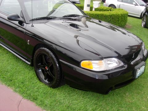1992 Ford Crown Victoria - A black Ford Mustang is parked on a lawn, with other vehicles visible in the background.