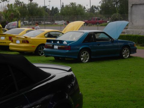 1992 Ford Crown Victoria - A teal 1993 Ford Mustang coupe is parked on the grass with its hood up, alongside other Mustangs.