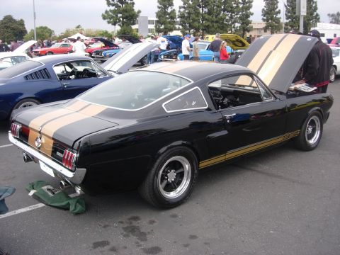 1992 Ford Crown Victoria - A black 1965 Ford Mustang Shelby GT350 with gold racing stripes is displayed at a car show, with its hood up.