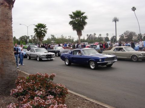 1992 Ford Crown Victoria - Several classic Ford Mustangs are lined up at a car show event.