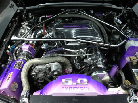 1992 Ford Crown Victoria - Engine bay of a 1992 Ford Crown Victoria, a "5.0" engine and custom purple accents.