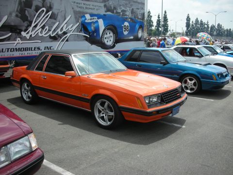 1992 Ford Crown Victoria - Several Mustangs are parked in a lot, with a large Shelby Automobiles banner behind them.