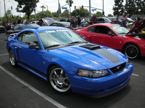 1992 Ford Crown Victoria - A blue Ford Mustang is parked at an outdoor car show with other vehicles.