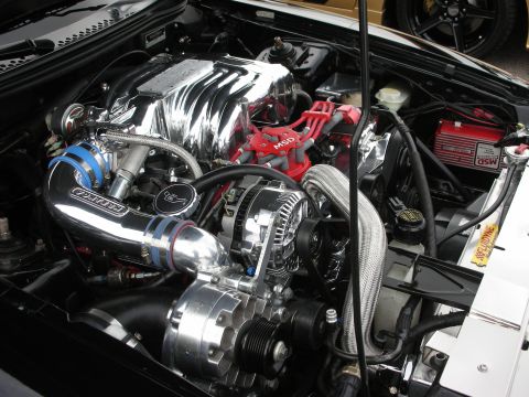1992 Ford Crown Victoria - Engine bay features a polished supercharger and red MSD ignition wires, suggesting performance modifications.