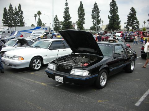 1992 Ford Crown Victoria - Black 1990 Ford Mustang hatchback at a car show, hood open, parked next to a white Mustang.