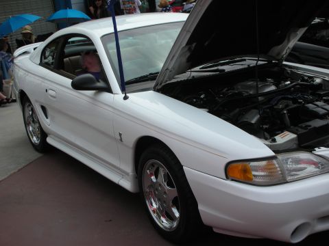 1992 Ford Crown Victoria - A white 1994 Ford Mustang GT coupe is displayed with its hood open, revealing the engine compartment.