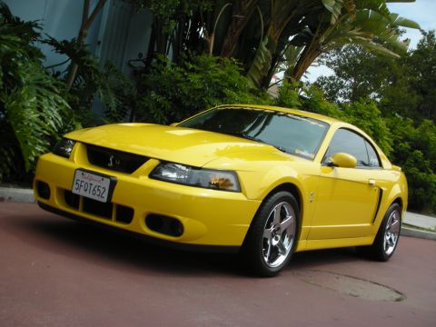 1992 Ford Crown Victoria - This yellow Ford Mustang has a California license plate and is parked outdoors with lush greenery behind it.