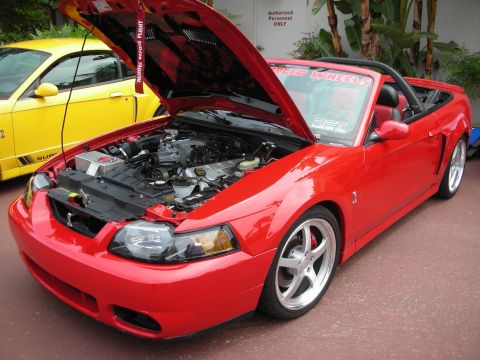 1992 Ford Crown Victoria - A red convertible Mustang with its hood open, revealing the engine bay. A yellow Mustang is visible in the background.