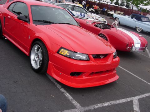 1992 Ford Crown Victoria - A red Ford Mustang is parked next to other classic cars at an outdoor event.