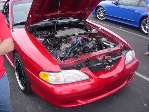 1992 Ford Crown Victoria - A red Ford Mustang is displayed with its hood open, revealing the engine compartment.