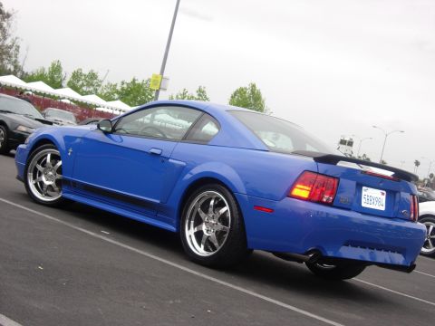 1992 Ford Crown Victoria - A blue 2000 Ford Mustang coupe is parked in a lot, showing its rear 3/4 profile and a black stripe along the rocker panel.