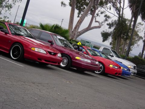 1992 Ford Crown Victoria - A collection of vehicles are lined up in a parking lot under an overcast sky.