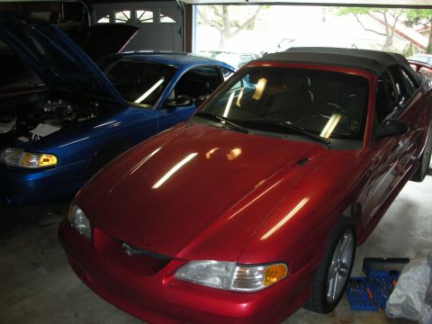 1998 Ford Crown Victoria - maroon Ford Mustang convertible sits front three-quarter in a garage beside a blue Mustang with its hood up and a tool set on the floor.