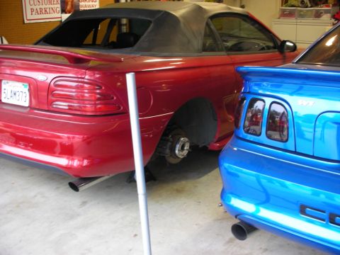 1998 Ford Crown Victoria - red Ford Mustang convertible sits on a jack stand with its rear wheel removed, parked beside a blue Mustang Cobra in a garage.