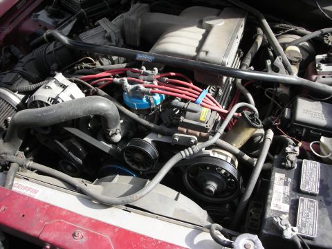 1998 Ford Crown Victoria - Engine bay of a red car showing the intake plenum, red spark-plug wires, accessory pulleys and a Griffin radiator at the front.