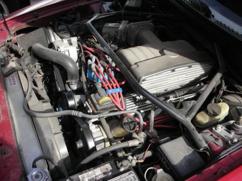 1998 Ford Crown Victoria - Engine bay of a red car with a finned aluminum intake manifold, red spark-plug wires and underdrive accessory pulleys.